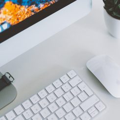 پنج روز برای موسیقی